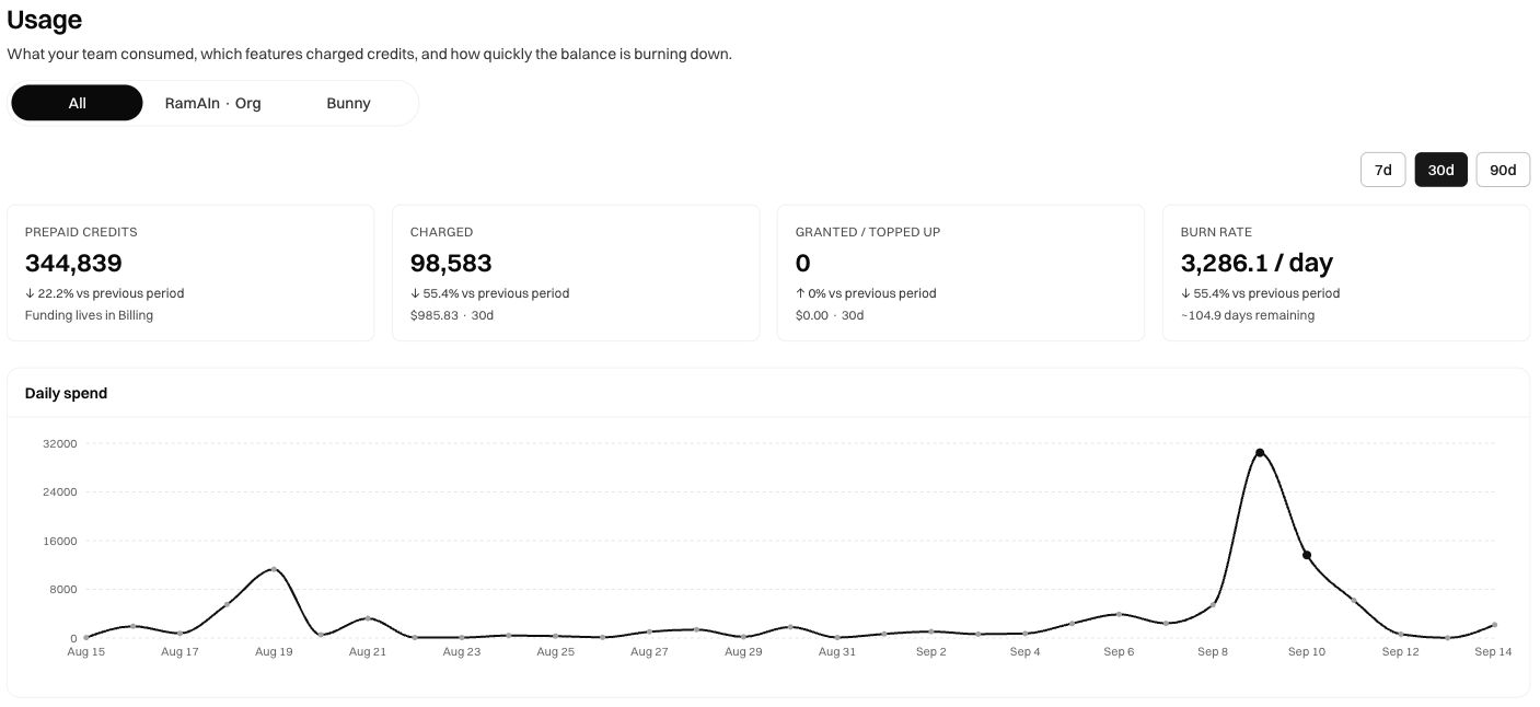 Usage view with scope and date filters, prepaid credit cards, and the daily spend chart